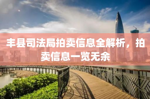 丰县司法局拍卖信息全解析，拍卖信息一览无余