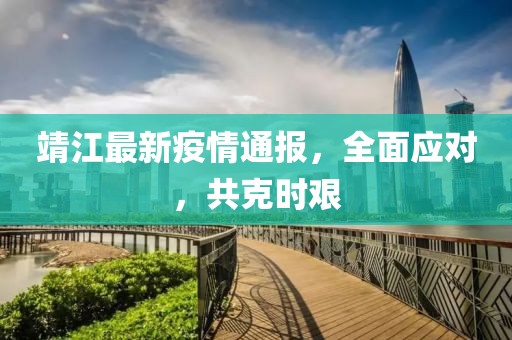 靖江最新疫情通报，全面应对，共克时艰