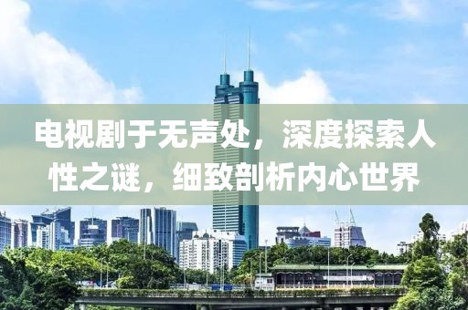 电视剧于无声处，深度探索人性之谜，细致剖析内心世界