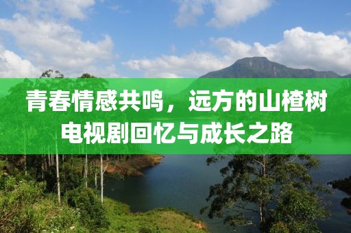 青春情感共鸣，远方的山楂树电视剧回忆与成长之路