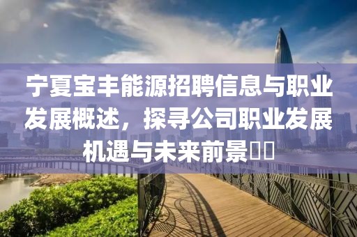 宁夏宝丰能源招聘信息与职业发展概述，探寻公司职业发展机遇与未来前景​​