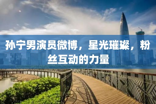 孙宁男演员微博，星光璀璨，粉丝互动的力量