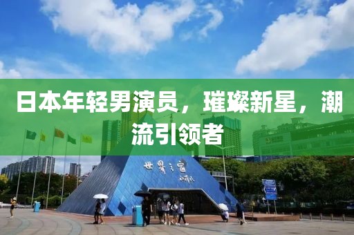 日本年轻男演员，璀璨新星，潮流引领者