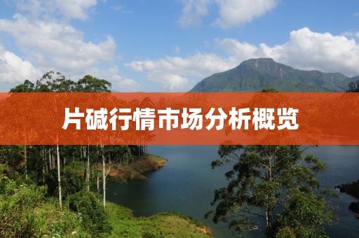 片碱行情市场分析概览