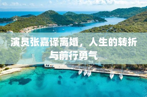 演员张嘉译离婚，人生的转折与前行勇气