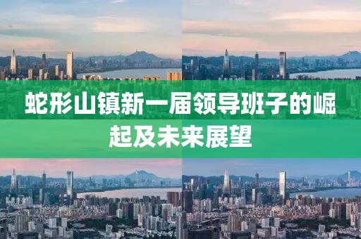 蛇形山镇新一届领导班子的崛起及未来展望