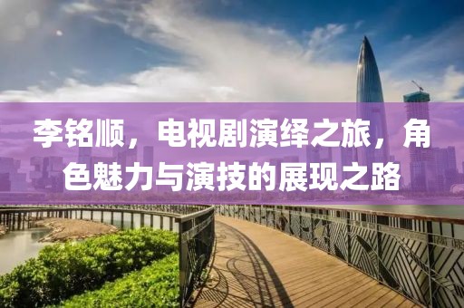 李铭顺，电视剧演绎之旅，角色魅力与演技的展现之路