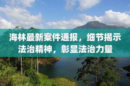 海林最新案件通报，细节揭示法治精神，彰显法治力量