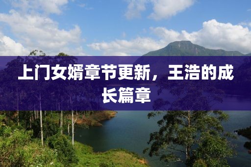 上门女婿章节更新，王浩的成长篇章