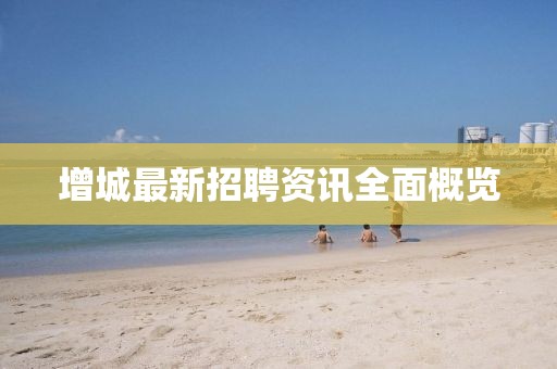 增城最新招聘资讯全面概览