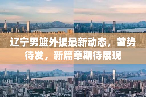 辽宁男篮外援最新动态，蓄势待发，新篇章期待展现