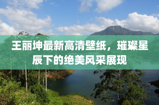 王丽坤最新高清壁纸，璀璨星辰下的绝美风采展现