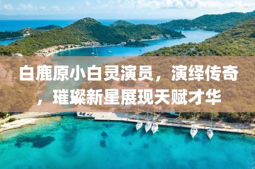 白鹿原小白灵演员，演绎传奇，璀璨新星展现天赋才华
