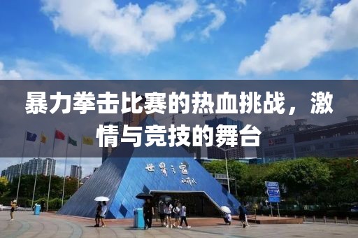 暴力拳击比赛的热血挑战，激情与竞技的舞台