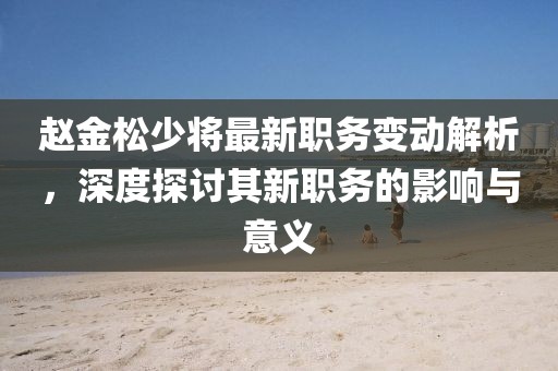 赵金松少将最新职务变动解析，深度探讨其新职务的影响与意义