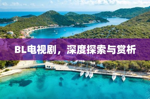 BL电视剧，深度探索与赏析