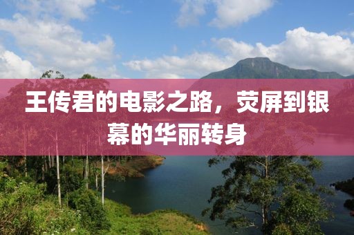 王传君的电影之路，荧屏到银幕的华丽转身