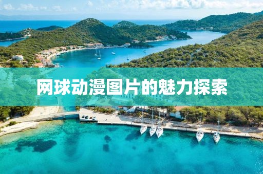 网球动漫图片的魅力探索