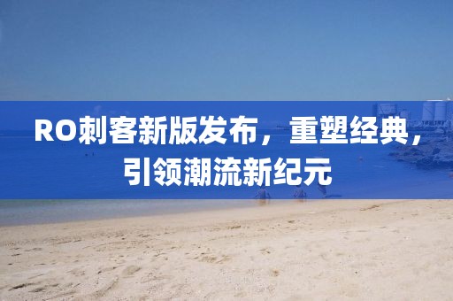 RO刺客新版发布，重塑经典，引领潮流新纪元