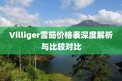 Villiger雪茄价格表深度解析与比较对比