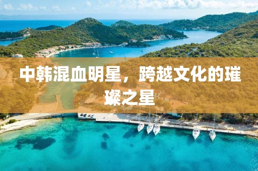 中韩混血明星，跨越文化的璀璨之星