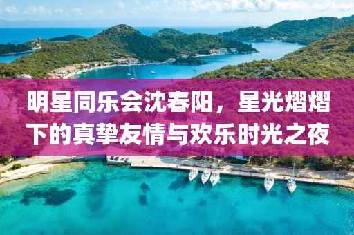 明星同乐会沈春阳，星光熠熠下的真挚友情与欢乐时光之夜