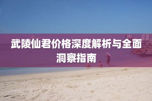 武陵仙君价格深度解析与全面洞察指南