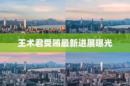 王术君受贿最新进展曝光