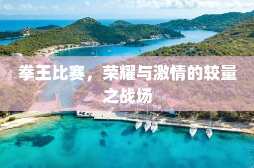 拳王比赛，荣耀与激情的较量之战场