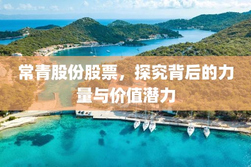 常青股份股票，探究背后的力量与价值潜力