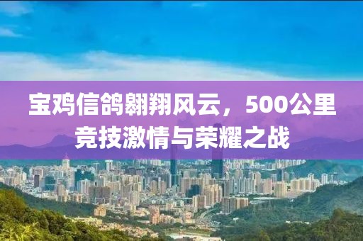 宝鸡信鸽翱翔风云，500公里竞技激情与荣耀之战