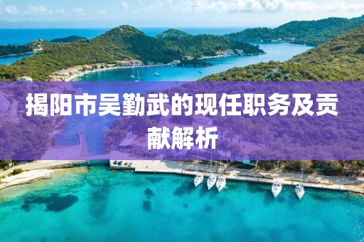 揭阳市吴勤武的现任职务及贡献解析
