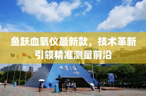 鱼跃血氧仪最新款，技术革新引领精准测量前沿