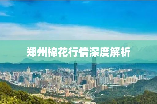 郑州棉花行情深度解析