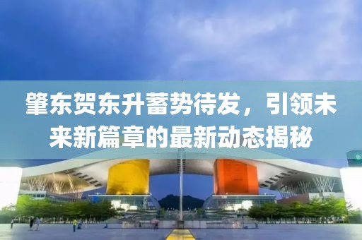 肇东贺东升蓄势待发，引领未来新篇章的最新动态揭秘