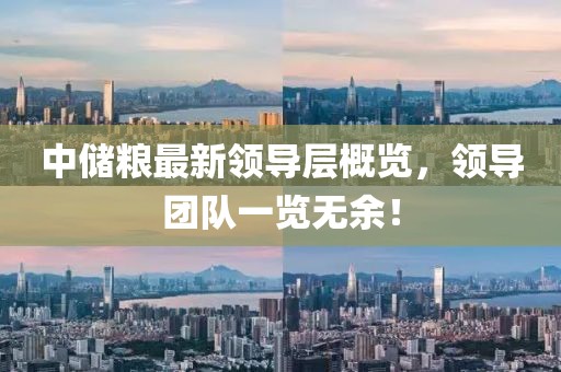 中储粮最新领导层概览，领导团队一览无余！