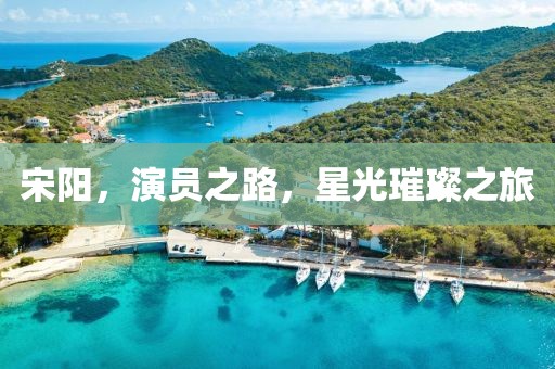 宋阳，演员之路，星光璀璨之旅