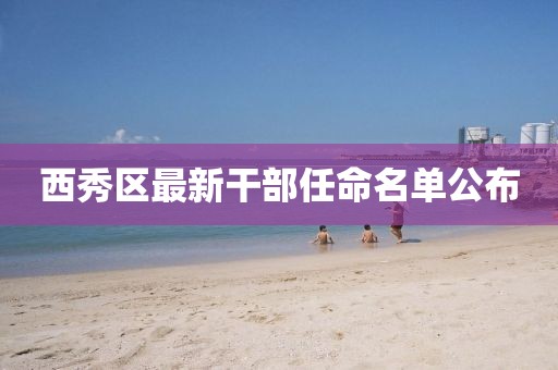 西秀区最新干部任命名单公布