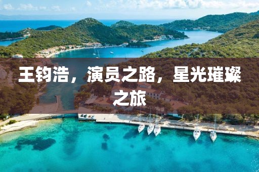 王钧浩，演员之路，星光璀璨之旅