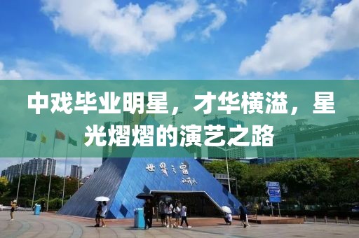 我不会写诗 第16页