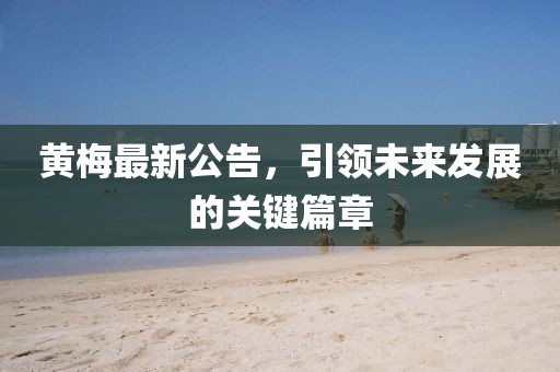 黄梅最新公告，引领未来发展的关键篇章