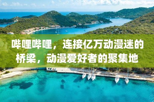 哔哩哔哩，连接亿万动漫迷的桥梁，动漫爱好者的聚集地