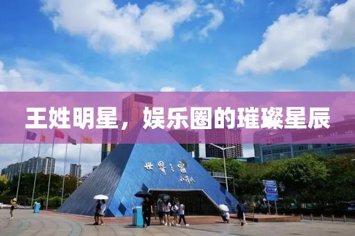 王姓明星，娱乐圈的璀璨星辰