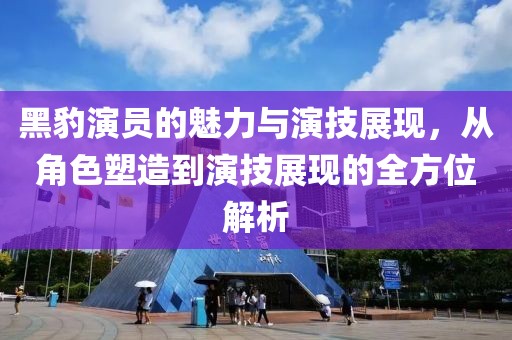 黑豹演员的魅力与演技展现，从角色塑造到演技展现的全方位解析
