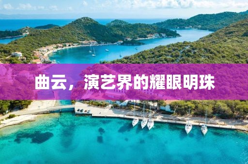 曲云，演艺界的耀眼明珠