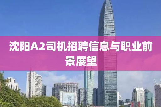 沈阳A2司机招聘信息与职业前景展望