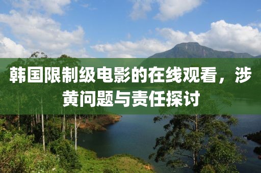 韩国限制级电影的在线观看，涉黄问题与责任探讨
