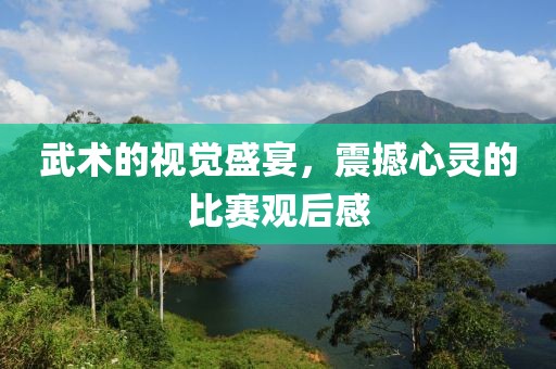 武术的视觉盛宴，震撼心灵的比赛观后感