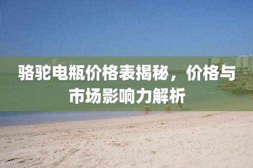 骆驼电瓶价格表揭秘，价格与市场影响力解析
