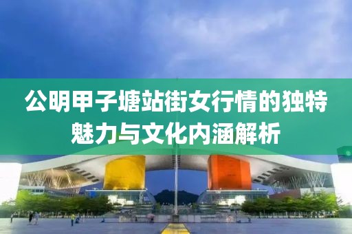 公明甲子塘站街女行情的独特魅力与文化内涵解析